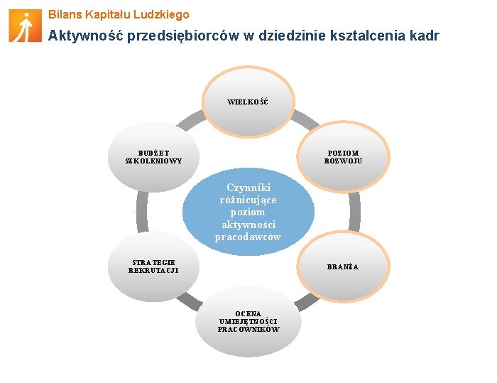 Bilans Kapitału Ludzkiego Aktywność przedsiębiorców w dziedzinie kształcenia kadr WIELKOŚĆ BUDŻET SZKOLENIOWY POZIOM ROZWOJU