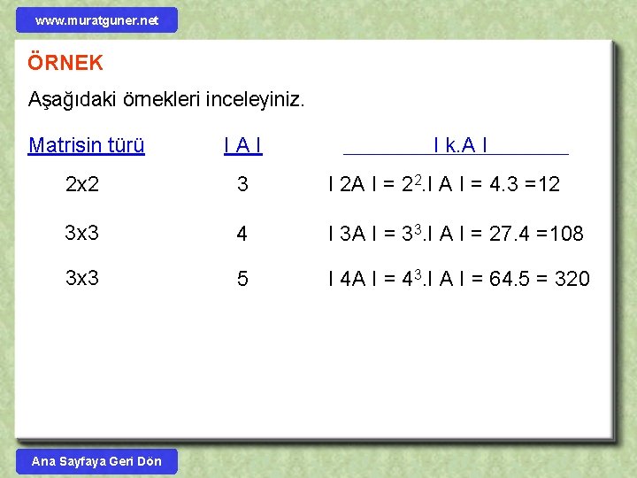 www. muratguner. net ÖRNEK Aşağıdaki örnekleri inceleyiniz. Matrisin türü IAI 2 x 2 3