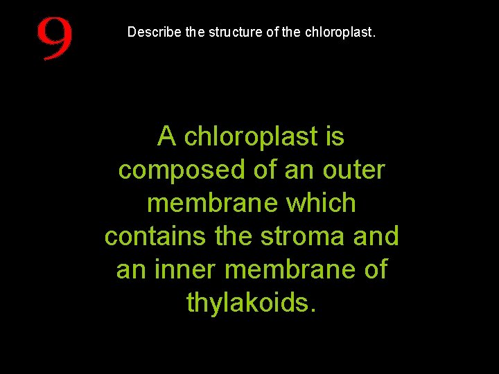 Describe the structure of the chloroplast. A chloroplast is composed of an outer membrane