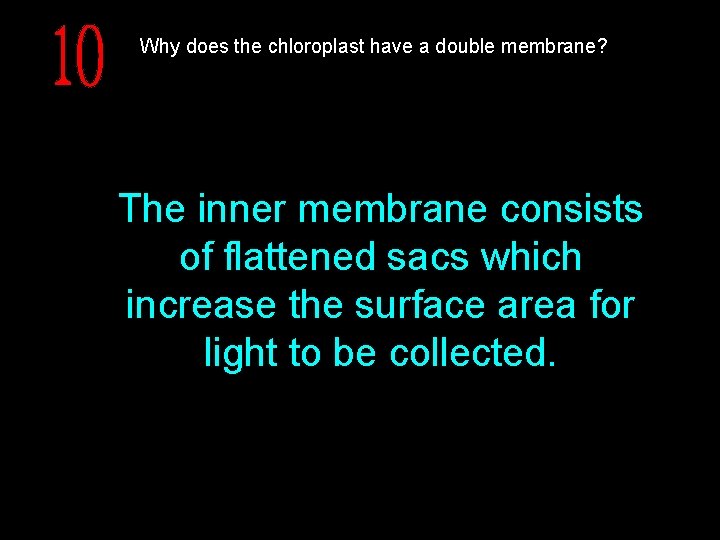 Why does the chloroplast have a double membrane? The inner membrane consists of flattened