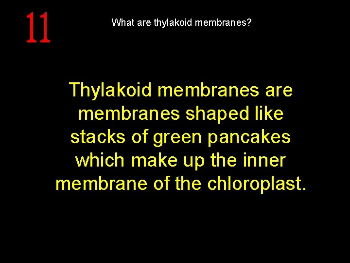 What are thylakoid membranes? Thylakoid membranes are membranes shaped like stacks of green pancakes