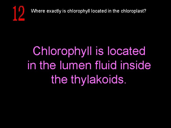 Where exactly is chlorophyll located in the chloroplast? Chlorophyll is located in the lumen