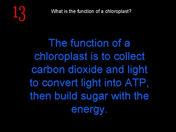 What is the function of a chloroplast? The function of a chloroplast is to
