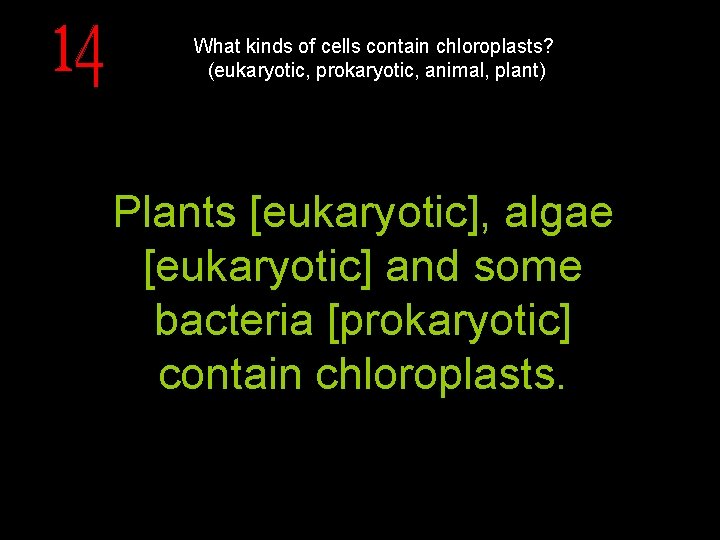 What kinds of cells contain chloroplasts? (eukaryotic, prokaryotic, animal, plant) Plants [eukaryotic], algae [eukaryotic]
