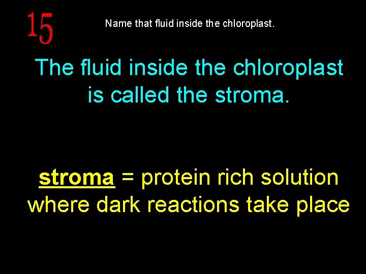 Name that fluid inside the chloroplast. The fluid inside the chloroplast is called the