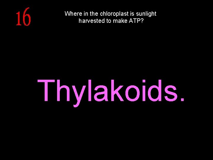 Where in the chloroplast is sunlight harvested to make ATP? Thylakoids. 