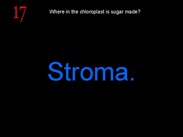 Where in the chloroplast is sugar made? Stroma. 