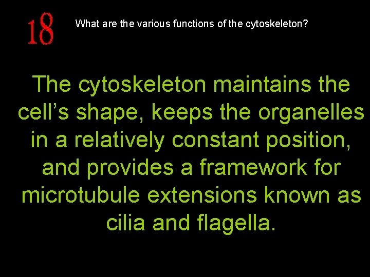 What are the various functions of the cytoskeleton? The cytoskeleton maintains the cell’s shape,