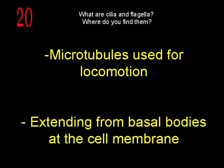 What are cilia and flagella? Where do you find them? -Microtubules used for locomotion