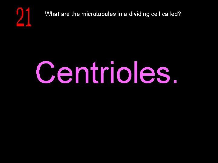 What are the microtubules in a dividing cell called? Centrioles. 