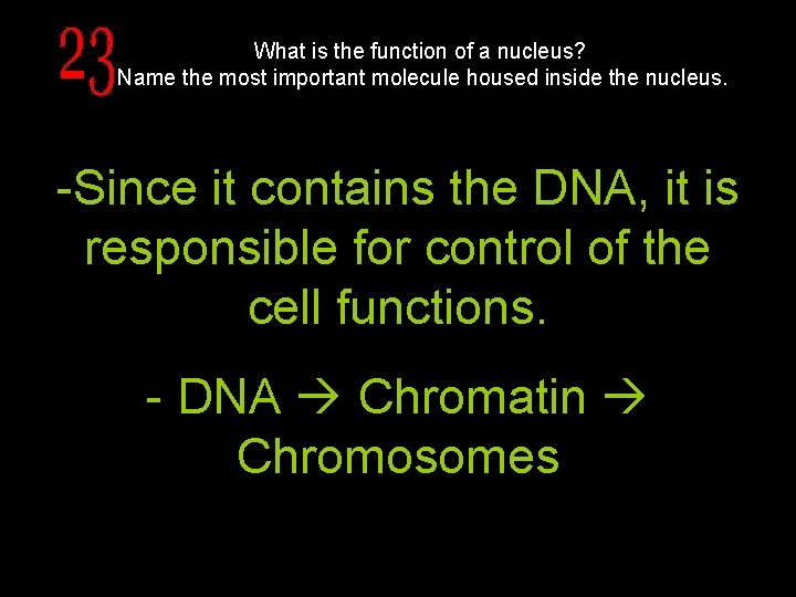 What is the function of a nucleus? Name the most important molecule housed inside