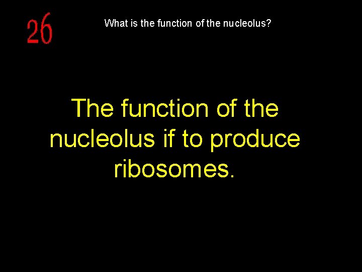 What is the function of the nucleolus? The function of the nucleolus if to