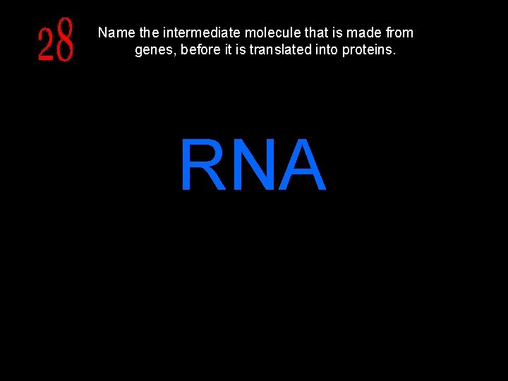Name the intermediate molecule that is made from genes, before it is translated into