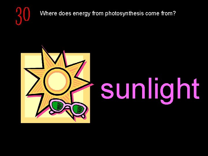 Where does energy from photosynthesis come from? sunlight 
