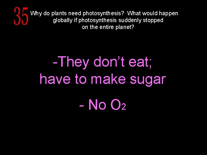 Why do plants need photosynthesis? What would happen globally if photosynthesis suddenly stopped on