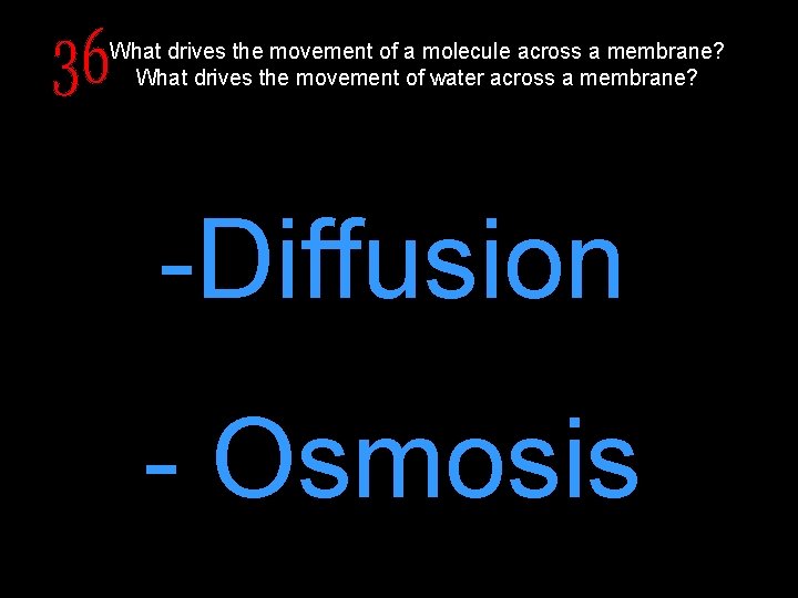 What drives the movement of a molecule across a membrane? What drives the movement