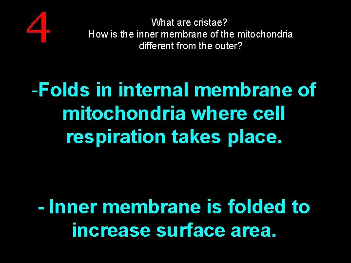 What are cristae? How is the inner membrane of the mitochondria different from the