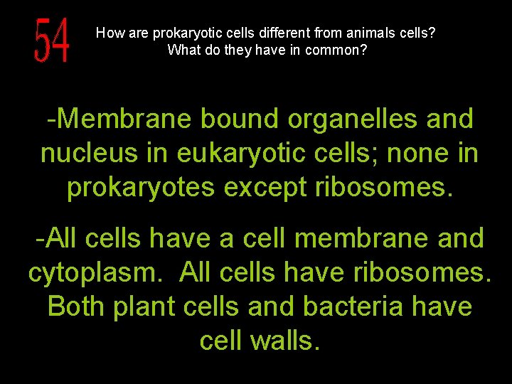 How are prokaryotic cells different from animals cells? What do they have in common?