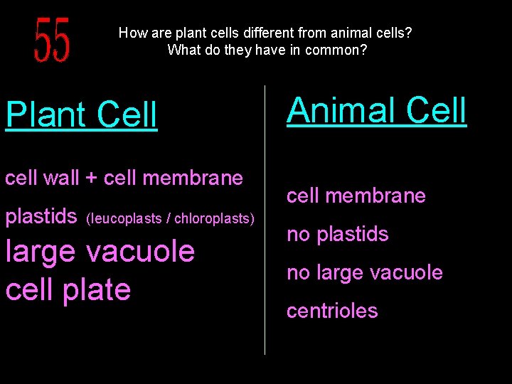 How are plant cells different from animal cells? What do they have in common?