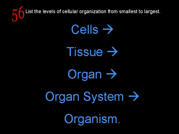 List the levels of cellular organization from smallest to largest. Cells Tissue Organ System
