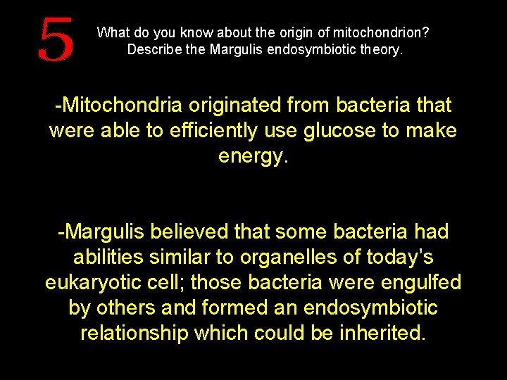 What do you know about the origin of mitochondrion? Describe the Margulis endosymbiotic theory.