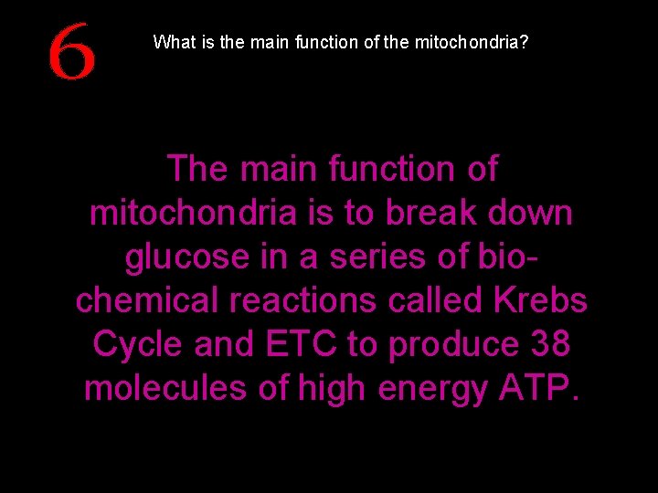 What is the main function of the mitochondria? The main function of mitochondria is