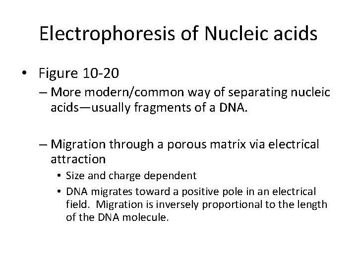Electrophoresis of Nucleic acids • Figure 10 -20 – More modern/common way of separating