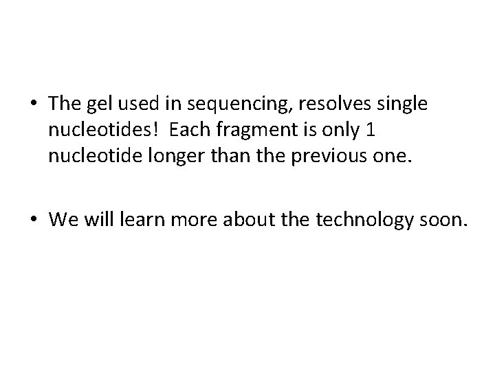  • The gel used in sequencing, resolves single nucleotides! Each fragment is only