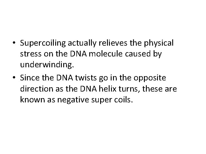  • Supercoiling actually relieves the physical stress on the DNA molecule caused by