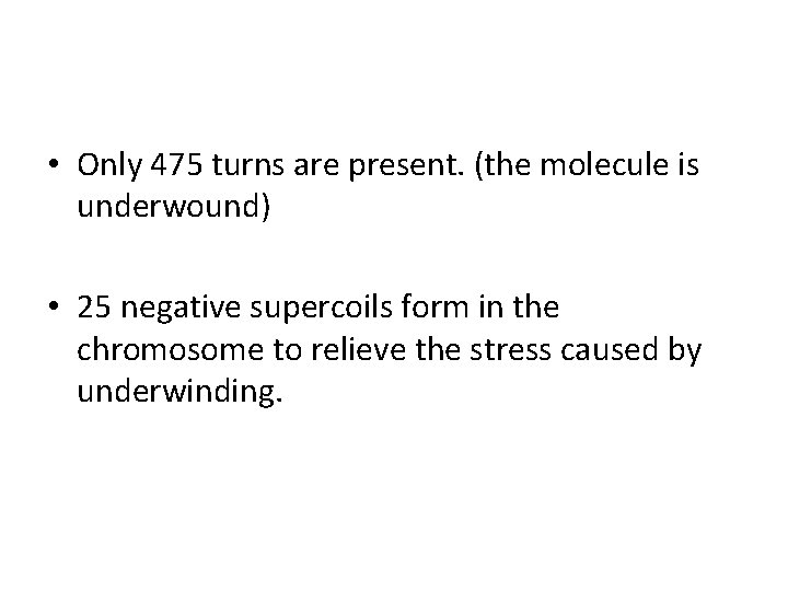  • Only 475 turns are present. (the molecule is underwound) • 25 negative