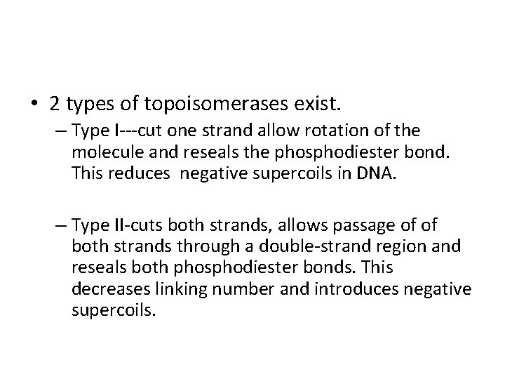  • 2 types of topoisomerases exist. – Type I---cut one strand allow rotation