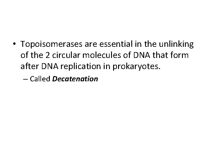  • Topoisomerases are essential in the unlinking of the 2 circular molecules of