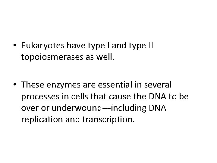  • Eukaryotes have type I and type II topoiosmerases as well. • These