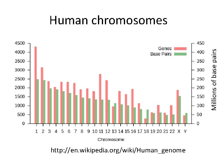 Millions of base pairs Human chromosomes http: //en. wikipedia. org/wiki/Human_genome 