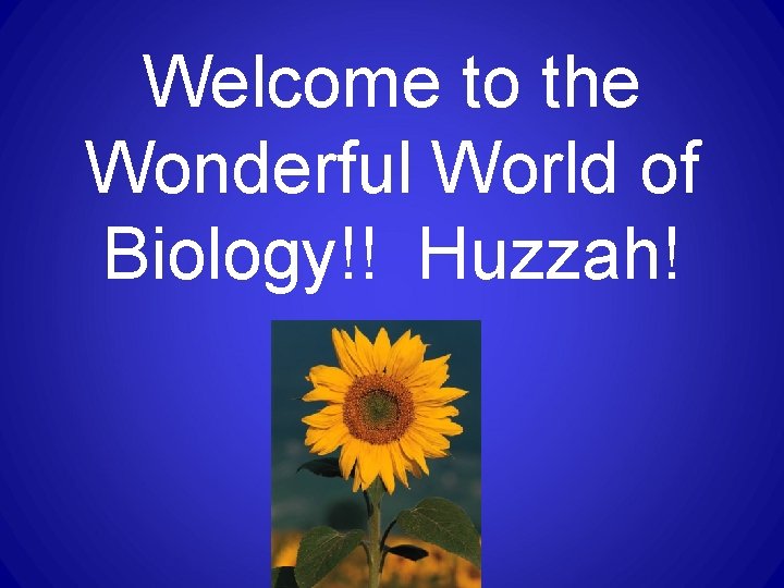 Welcome to the Wonderful World of Biology!! Huzzah! Welcome to the Wonderful World of Biology!! Huzzah!