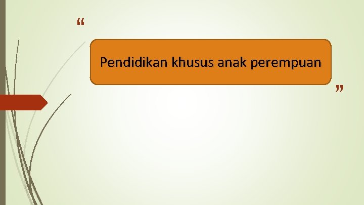 “ Pendidikan khusus anak perempuan ” “ Pendidikan khusus anak perempuan ”