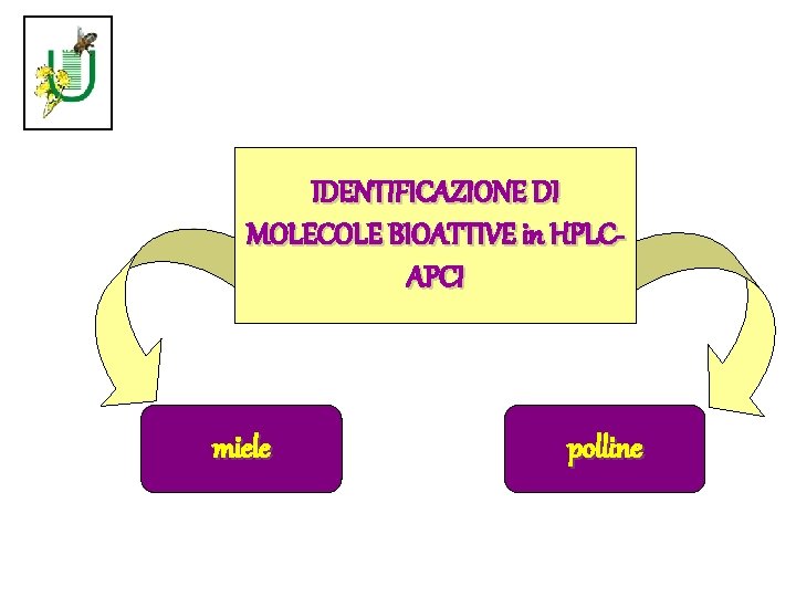 IDENTIFICAZIONE DI MOLECOLE BIOATTIVE in HPLCAPCI miele polline 