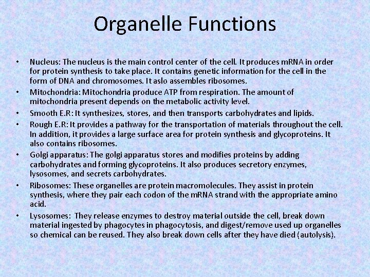 Organelle Functions • • Nucleus: The nucleus is the main control center of the