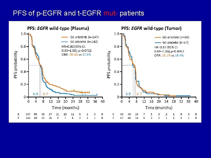 PFS of p-EGFR and t-EGFR mut- patients 