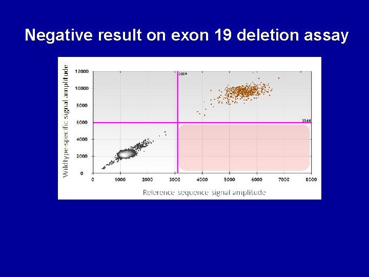 Negative result on exon 19 deletion assay 