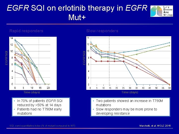 EGFR SQI on erlotinib therapy in EGFR Mut+ Rapid responders EGFR SQI Slow responders