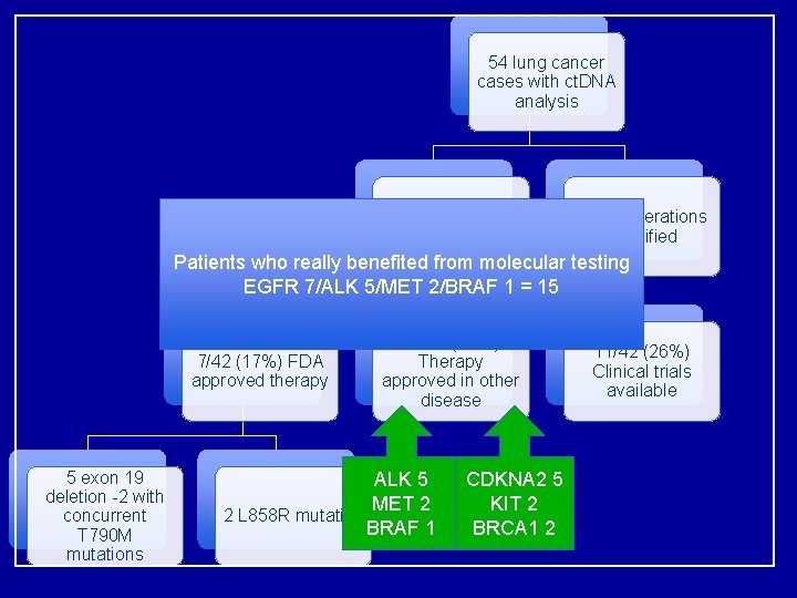 54 lung cancer cases with ct. DNA analysis 42 with 1 or more alteration