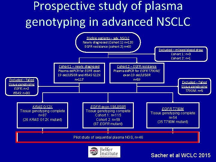 Prospective study of plasma genotyping in advanced NSCLC Eligible patients – adv. NSCLC Newly