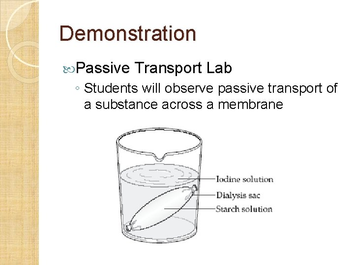 Demonstration Passive Transport Lab ◦ Students will observe passive transport of a substance across