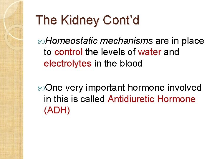 The Kidney Cont’d Homeostatic mechanisms are in place to control the levels of water