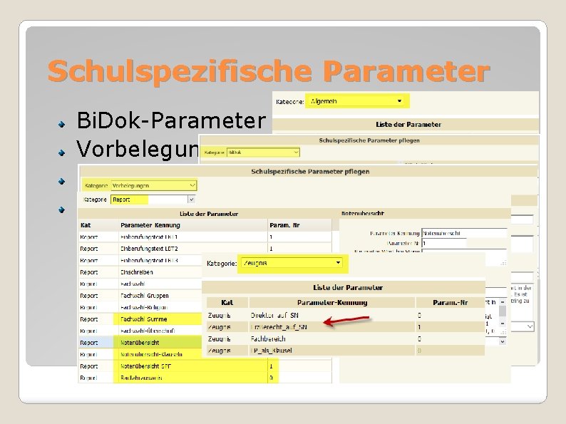 Schulspezifische Parameter Bi. Dok-Parameter Vorbelegungen Notenübersicht bzw. NÜ-SPF Direktor. In bzw. Erziehungsber. auf SN,