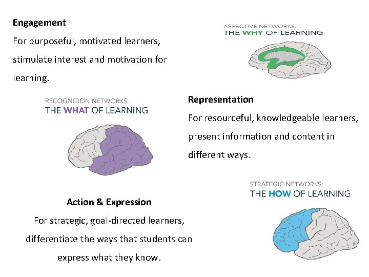 Engagement For purposeful, motivated learners, stimulate interest and motivation for learning. Representation For resourceful,