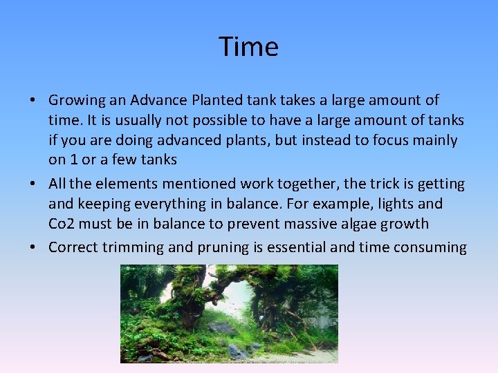 Time • Growing an Advance Planted tank takes a large amount of time. It