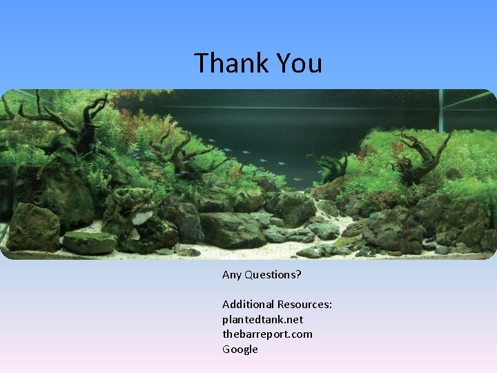 Thank You Any Questions? Additional Resources: plantedtank. net thebarreport. com Google 