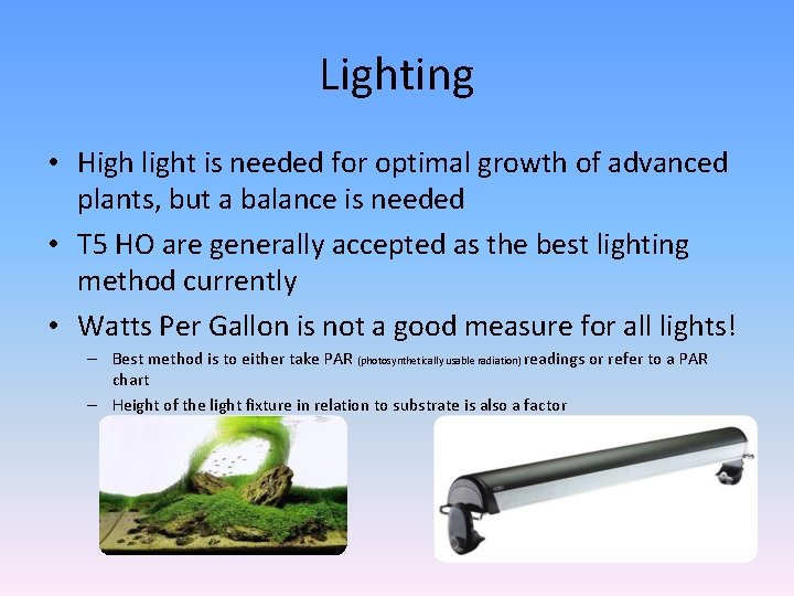 Lighting • High light is needed for optimal growth of advanced plants, but a